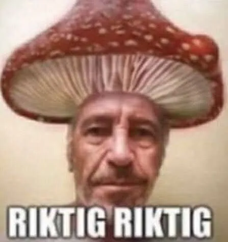 riktig riktig